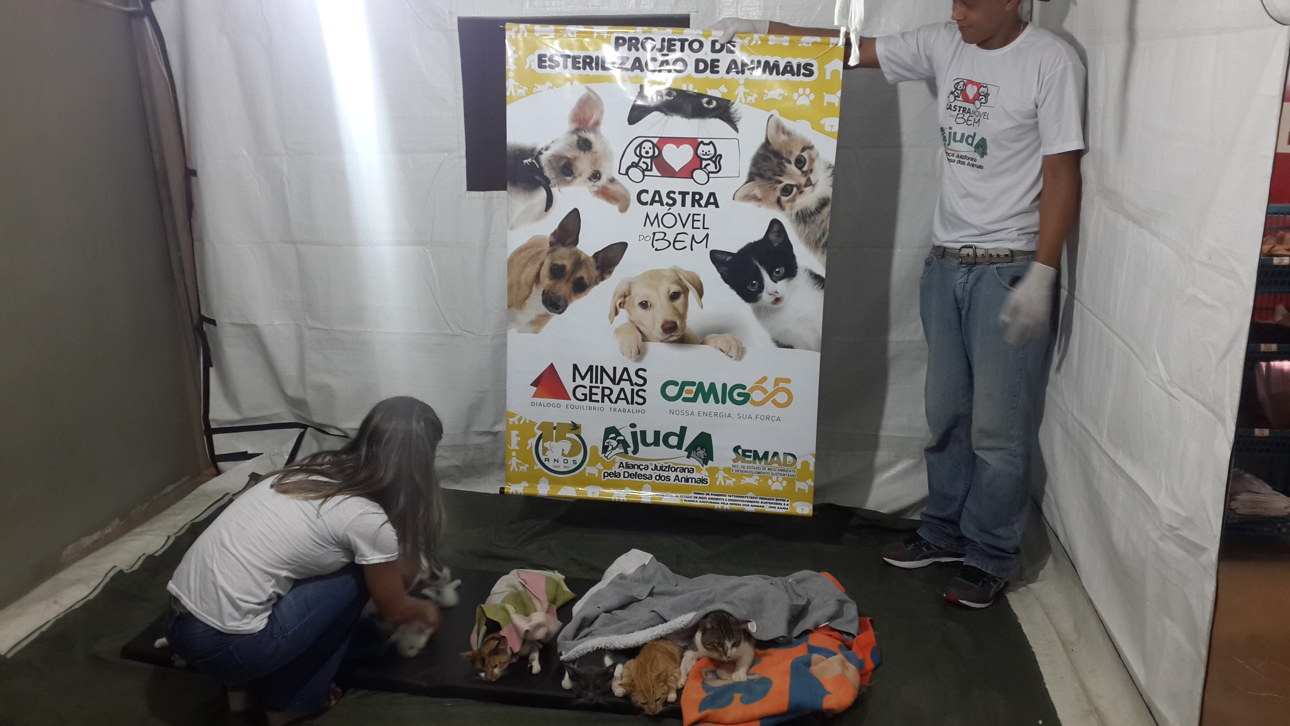 Foto 01- Área de descanso dos animais pós-cirurgia