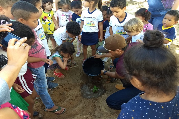 PlantiodeMudas Mirabela Dentro