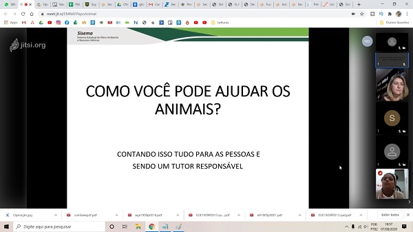 FeedA-ANimais3 cORTADA