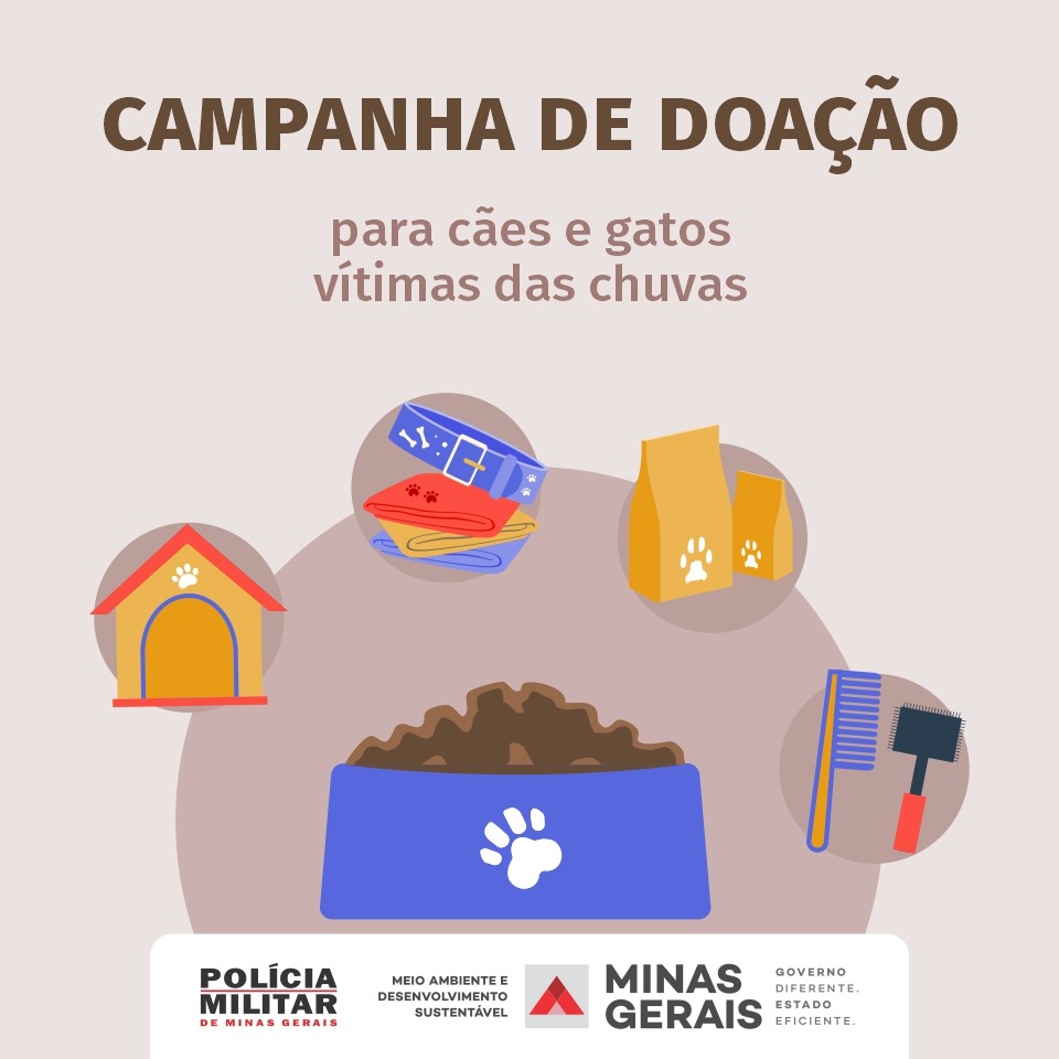 Doações cães e gatos