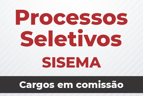 Processo Sletivo Sisema