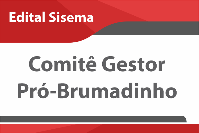 EDITAL - Comitê Gestor Pró-Brumadinho